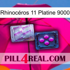 Rhinocéros 11 Platine 9000 37